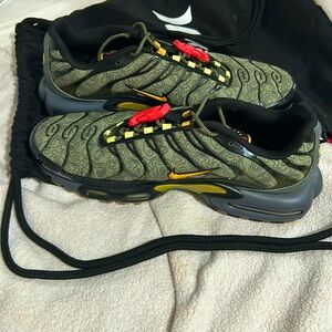 Nike Air Max Plus “Fresh Perspective”